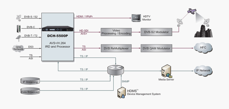 DCH-5500P